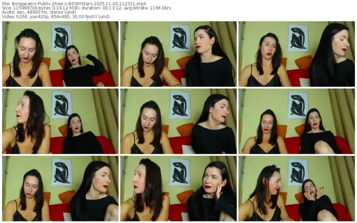 2025/11/03/bongacams-bdsmstars-11-23-11