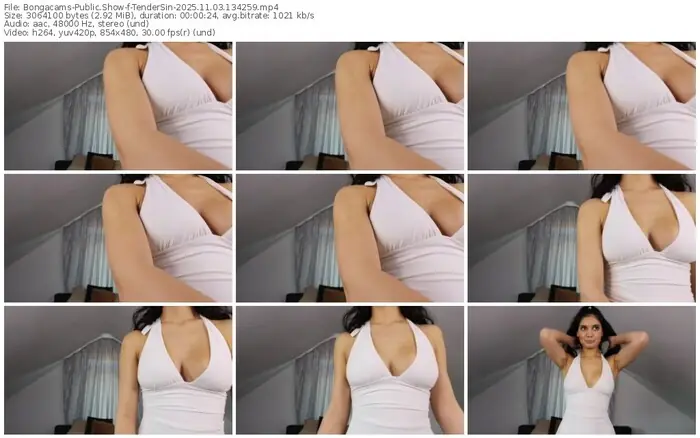 2025/11/03/bongacams-tendersin-13-42-59