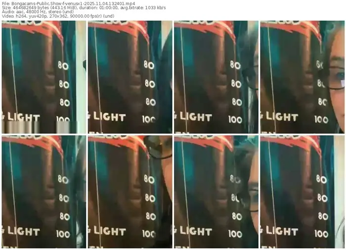 2025/11/04/bongacams-venusx1-13-24-01