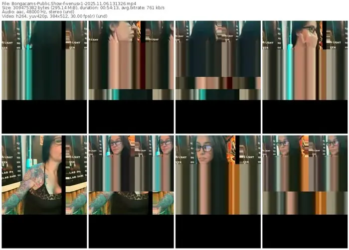 2025/11/06/bongacams-venusx1-13-13-26