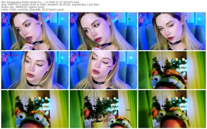 2025/11/07/bongacams-0------0-20-32-15