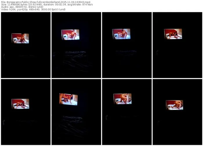 2025/11/09/bongacams-aliceinborderland-16-39-43