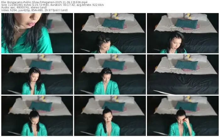 2025/11/09/bongacams-megansin-13-16-36