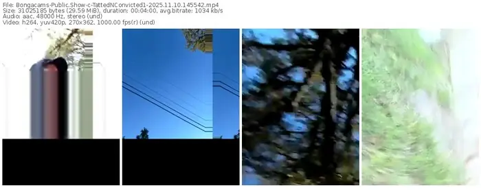 2025/11/10/bongacams-tattednconvicted1-14-55-42