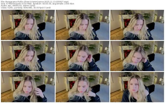 2025/11/13/bongacams-aaron1spice-03-59-27
