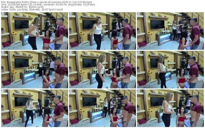 2025/11/14/bongacams-secret-of-roomies-11-57-46