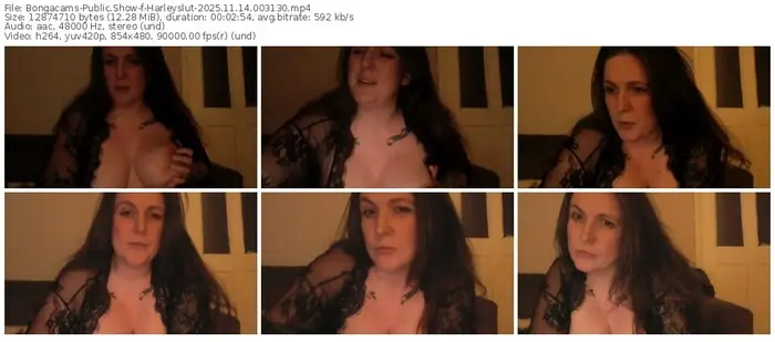 2025/11/14/bongacams-harleyslut-00-31-30