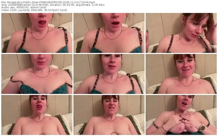 2025/11/14/bongacams-redheadrosie-17-10-44