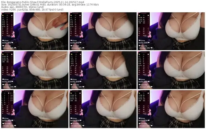 2025/11/14/bongacams-stellaflurry-20-15-17