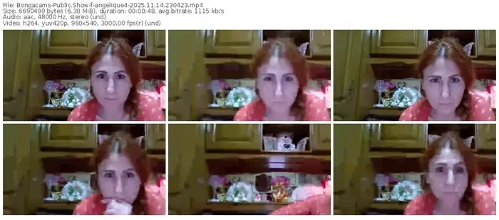2025/11/14/bongacams-angelique4-23-04-23