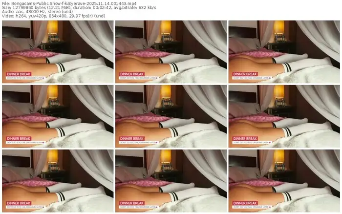 2025/11/14/bongacams-katyerave-00-14-43
