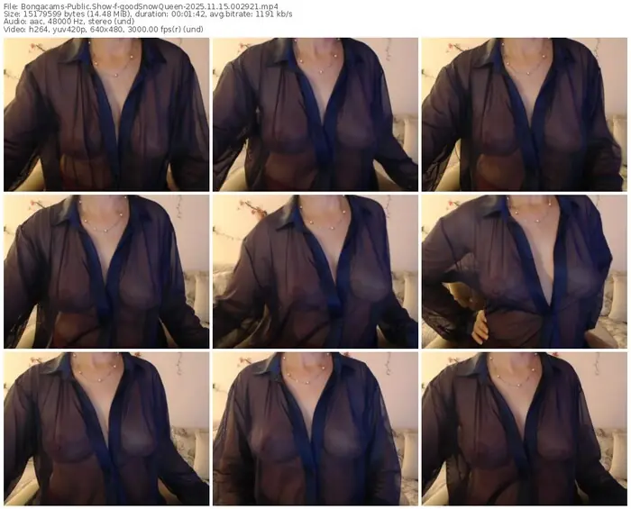 2025/11/15/bongacams-goodsnowqueen-00-29-21