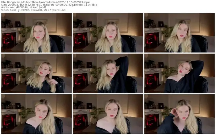 2025/11/15/bongacams-aaron1spice-03-05-29