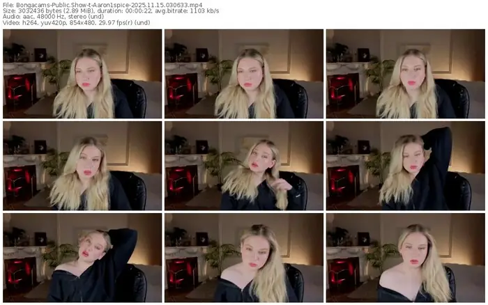 2025/11/15/bongacams-aaron1spice-03-06-33