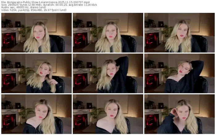 2025/11/15/bongacams-aaron1spice-03-07-37