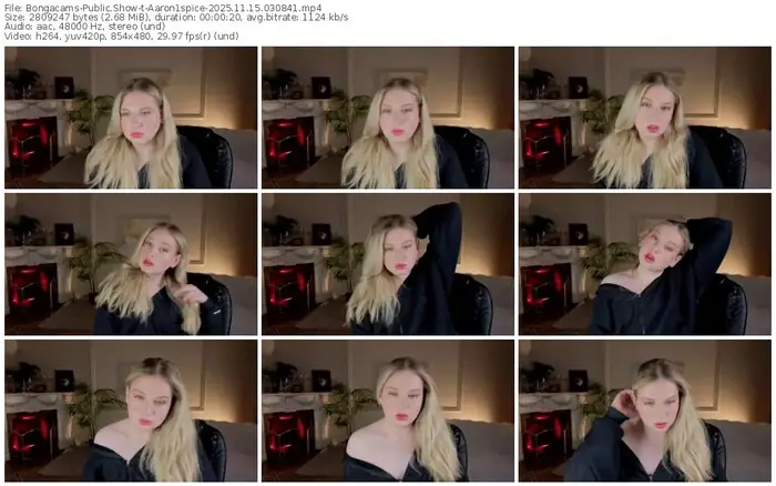 2025/11/15/bongacams-aaron1spice-03-08-41