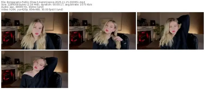2025/11/15/bongacams-aaron1spice-03-09-51