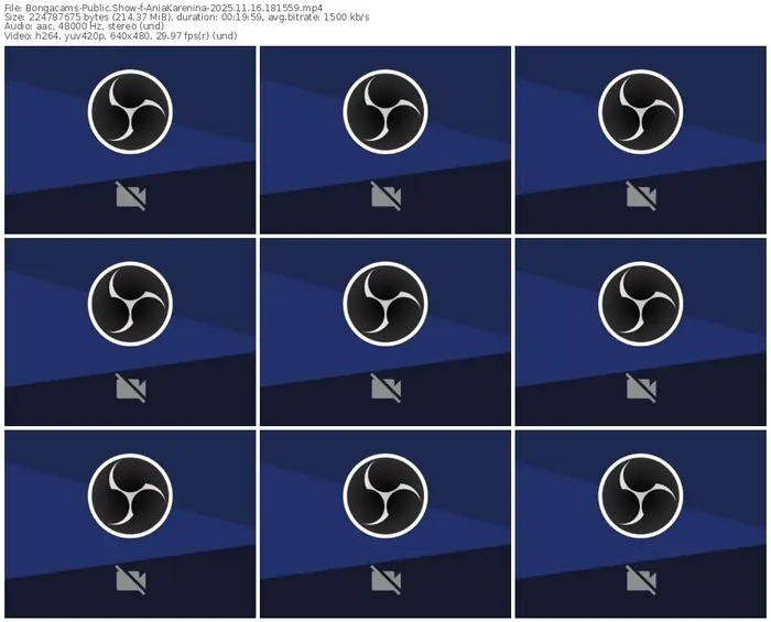 2025/11/16/bongacams-aniakarenina-18-15-59