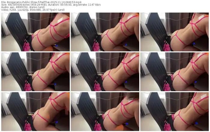 2025/11/16/bongacams-padthai-08-41-53