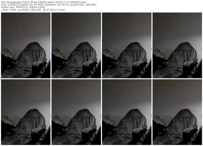 2025/11/16/bongacams-reife-dame-08-42-06