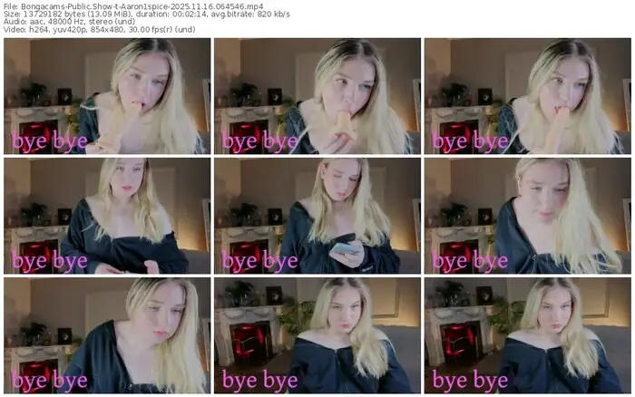 2025/11/16/bongacams-aaron1spice-06-45-46