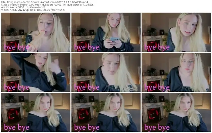 2025/11/16/bongacams-aaron1spice-06-47-30