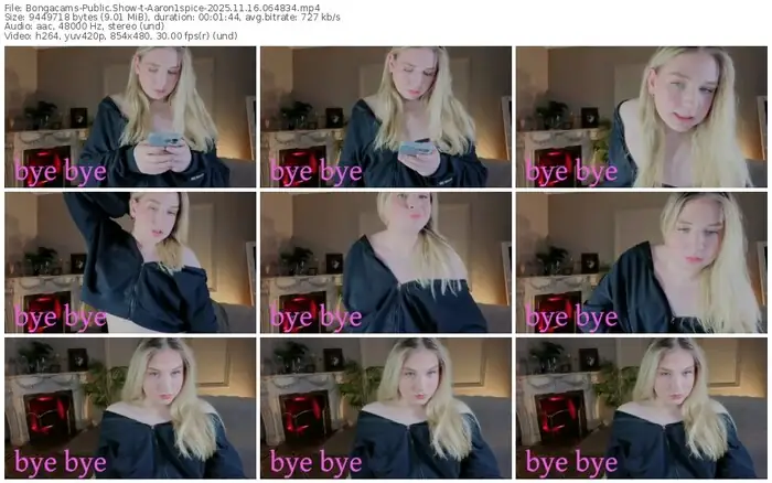 2025/11/16/bongacams-aaron1spice-06-48-34