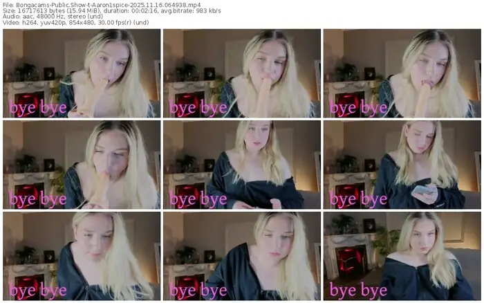 2025/11/16/bongacams-aaron1spice-06-49-38