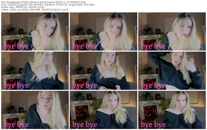 2025/11/16/bongacams-aaron1spice-06-50-43