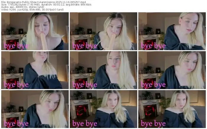 2025/11/16/bongacams-aaron1spice-06-52-57
