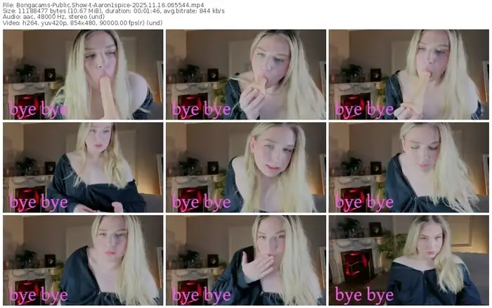 2025/11/16/bongacams-aaron1spice-06-55-44