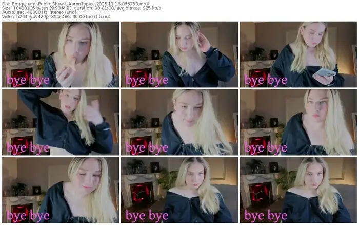 2025/11/16/bongacams-aaron1spice-06-57-53