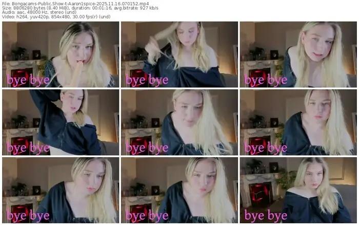 2025/11/16/bongacams-aaron1spice-07-01-52