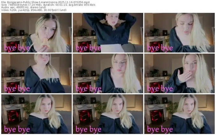 2025/11/16/bongacams-aaron1spice-07-02-56