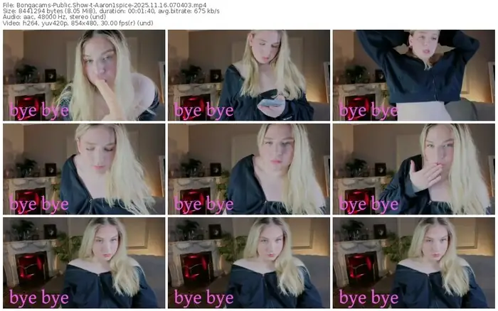 2025/11/16/bongacams-aaron1spice-07-04-03