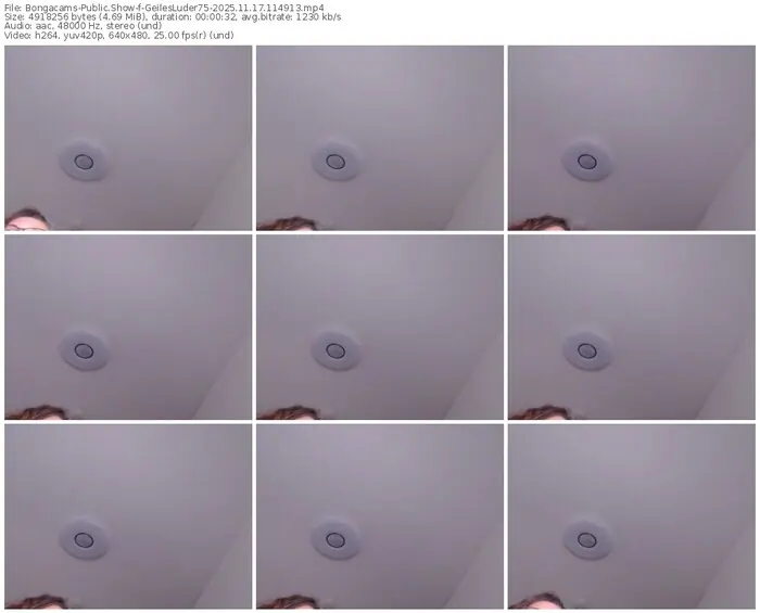 2025/11/17/bongacams-geilesluder75-11-49-13