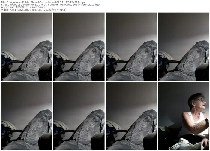 2025/11/17/bongacams-reife-dame-13-49-27