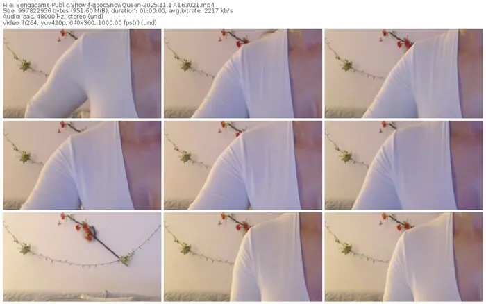 2025/11/17/bongacams-goodsnowqueen-16-30-21