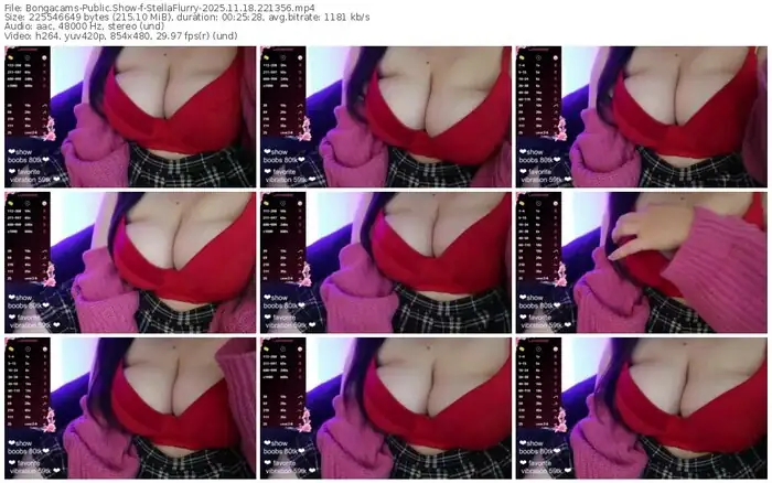 2025/11/18/bongacams-stellaflurry-22-13-56