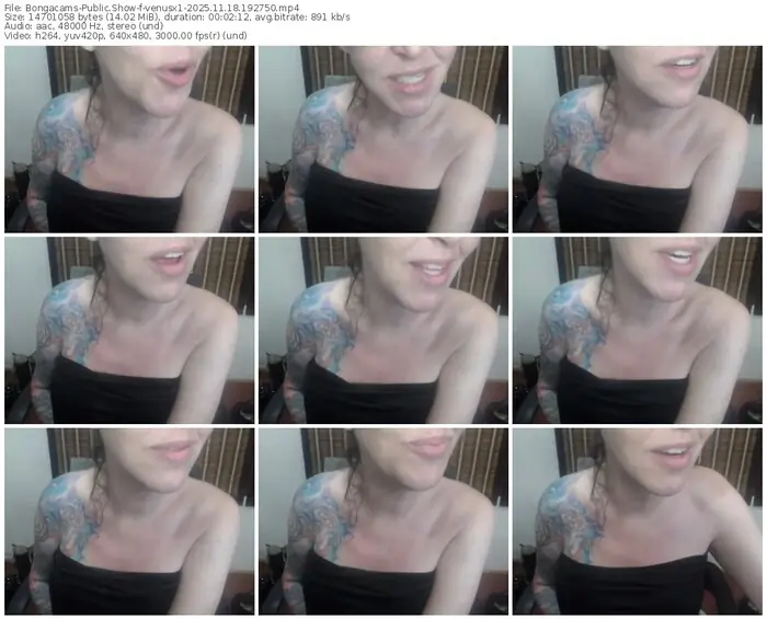 2025/11/18/bongacams-venusx1-19-27-50
