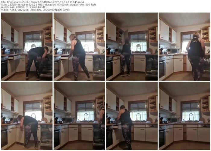 2025/11/19/bongacams-90dtitten-11-11-45