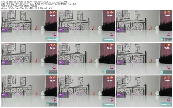 2025/11/19/bongacams-lollavibes-13-35-27