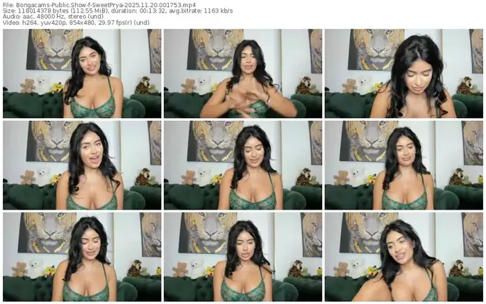 2025/11/20/bongacams-sweetprya-00-17-53