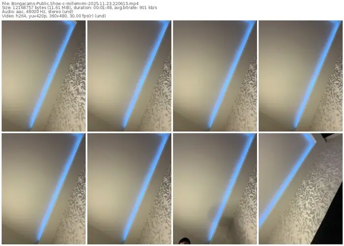 2025/11/23/bongacams-millemimi-22-06-15
