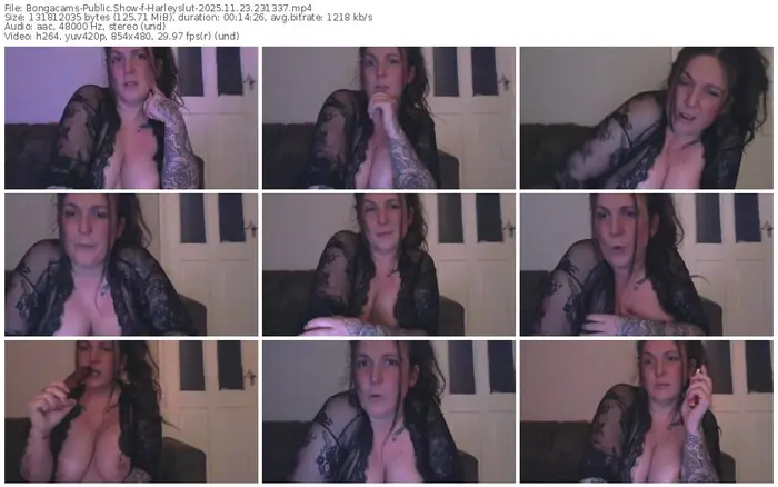 2025/11/23/bongacams-harleyslut-23-13-37
