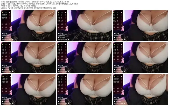 2025/11/23/bongacams-stellaflurry-20-06-21
