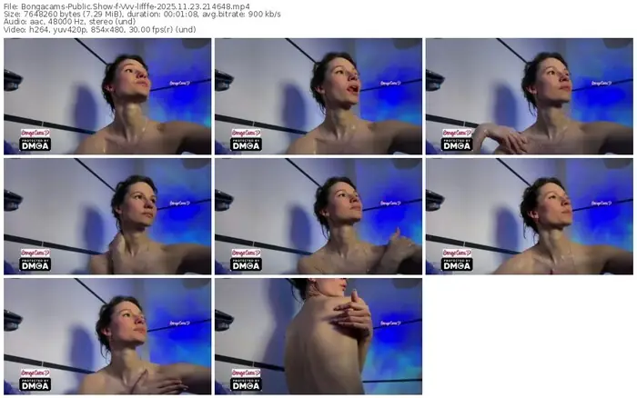 2025/11/23/bongacams-vvv-lifffe-21-46-48