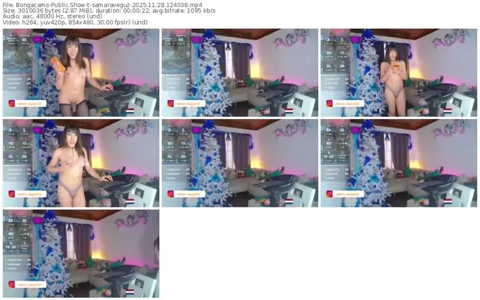 2025/11/28/bongacams-samaraveguz-12-40-38