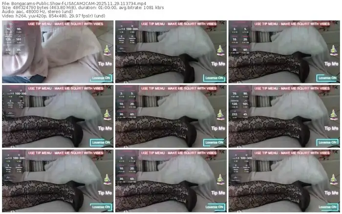 2025/11/29/bongacams-lisacam2cam-11-37-34