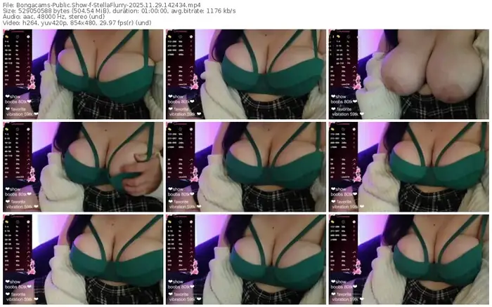 2025/11/29/bongacams-stellaflurry-14-24-34